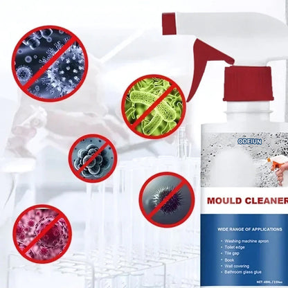Limited Time Easter Discount ODEIUN ™ | MOULD CLEANER Revive Spray: Instant Mold Removal Solution